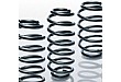 Pro Kit Springs