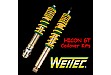 Hicon GT Coilovers